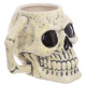 Ceramic Shaped Head Mug - Ancient Skull