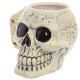 Ceramic Shaped Head Mug - Ancient Skull