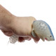 Fun Kids Squeezable Shark