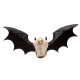 Gothic Wall Plaque - Devil Bat Skull