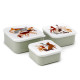 Lunch Boxes Set of 3 (M/L/XL) - Barks Dog