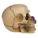 Gothic Skull Decoration with Purple Roses