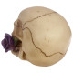 Gothic Skull Decoration with Purple Roses