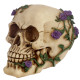 Gothic Skull Decoration with Purple Roses