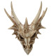 Collectable Dragon Skull