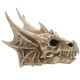 Collectable Dragon Skull