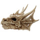 Collectable Dragon Skull