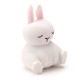 Fun Kids Squeezy Stretchy Cute Bunny Rabbit