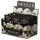 Fun Excavation Dig it Out Kit - Human Skull