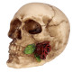 Gothic Skulls and Roses Ornament