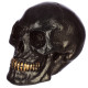 Gothic Iridescent Skull Ornament