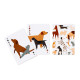 Standard Deck of Playing Cards - Barks Dog