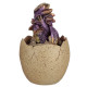 Hatching Elements Dragon Egg Trinket Box