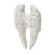 Magnet - Wings of the Heart Angel Wings