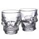 Fun Collectable Glass Shot Glass Set of 2 - Skulls (60ml)