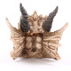 Fantasy Dragon Skull Money Box