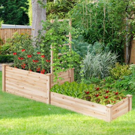 Raised Garden Bed with Trellis and 2 Compartments