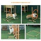 PawHut Dog Agility Equipment Pet Training Set with Adjustable Height Jump Ring Hurdle Whistle Weave Poles Square Pause Box Carry