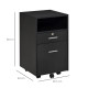 Vinsetto Lockable Two-Drawer Filing Cabinet, with Wheels - Black