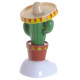 Fun Collectable Cactus wearing Sombrero Solar Powered Pal