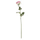 Small Camelot Open Rose Blush Pink