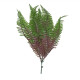 Purple Shady Fern (30cm)