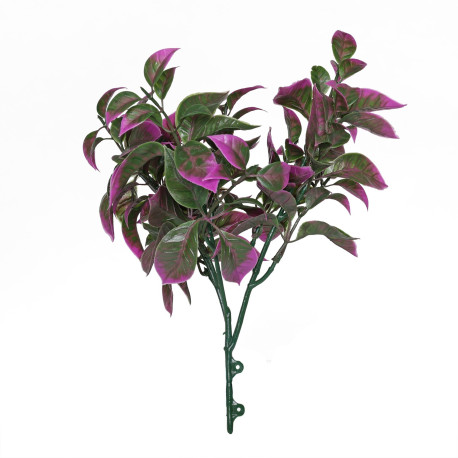 Purple Pointy Bush (25cm)