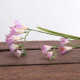 67cm Freesia Spray Lavender