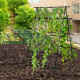 Cucumber Trellis for Climbing Plants Outdoor