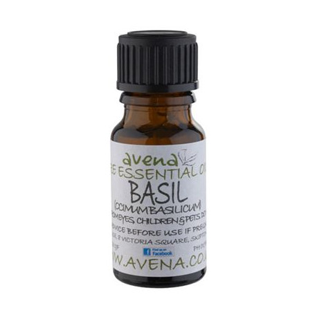 Basil Essential Oil -Ocimum Basilicum- 100ml Special Offer