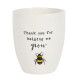 Bee Planter In Gift Box