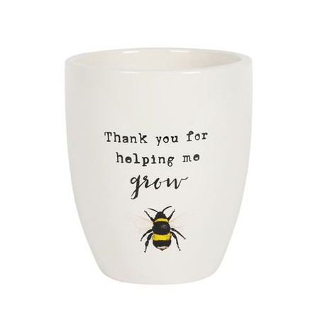 Bee Planter In Gift Box