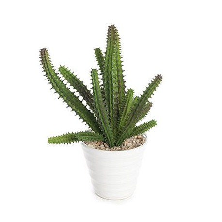 Cactus Succulent Realistic Artificial Plant In White Pot 19cm