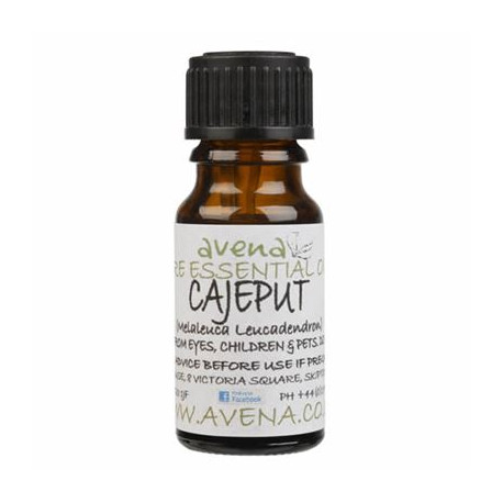 Cajeput Essential Oil -Melaleuca leucodendron- 100ml Special Offer