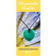 Chrysocolla Howlite Heart Necklace Natural Jewellery for Understanding