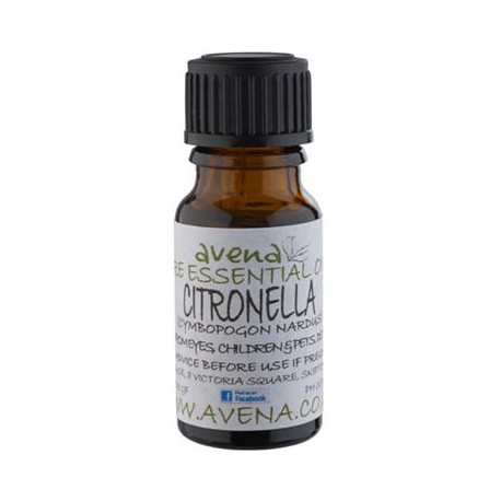 Citronella Essential Oil -Cymbopogon nardus- 100ml Special Offer