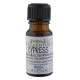 Cypress Essential Oil -Cupressus sempervirens- 100ml Special Offer