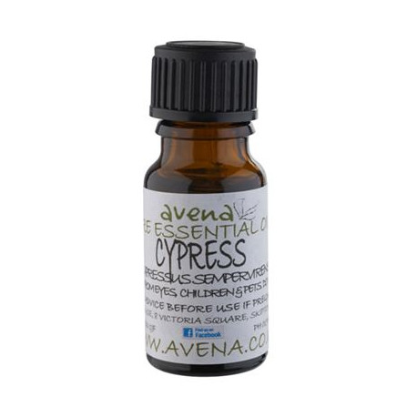 Cypress Essential Oil -Cupressus sempervirens- 100ml Special Offer