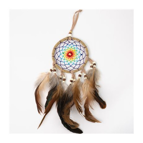 Dream Catcher with Brown Feathers Medium