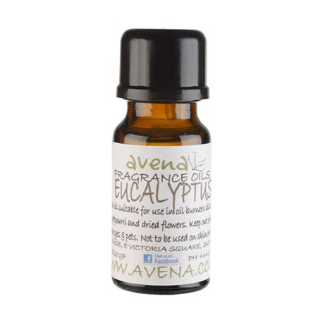 Eucalyptus Fragrance Oil 100ml