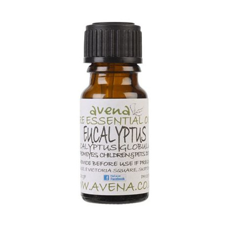 Eucalyptus Pure Essential Oil -Eucalyptus globulus- 100ml Special Offer