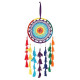 Extra Large Rainbow Crochet Dreamcatcher 80cm