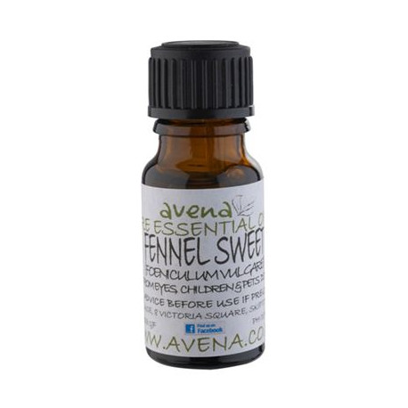 Fennel Sweet Essential Oil -Foeniculum vulgare- 100ml Special Offer