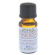 Frankincense Fragrance Oil 100ml Bottle