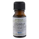 Geranium Essential Oil -Pelargonium graveolens- 100ml Special Offer