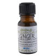 Ginger Essential Oil -Zingiber officinale- 100ml Special Offer