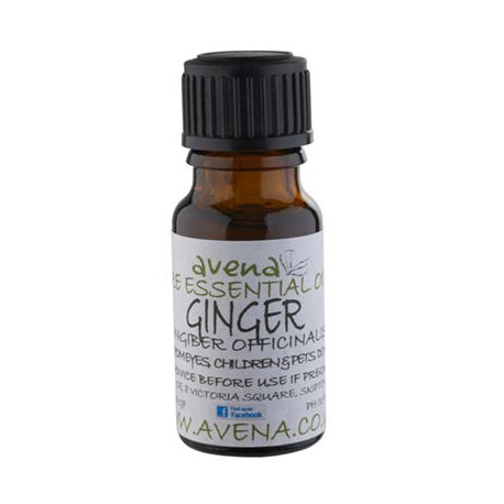 Ginger Essential Oil -Zingiber officinale- 100ml Special Offer