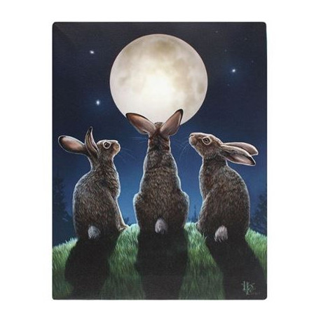 Hare & Moon Canvas Picture by Lisa Parker