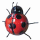 Ladybird Garden Wall Art Large