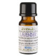 Lavender Fragrance Oil 100ml